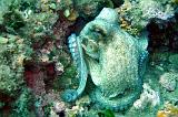 2009-09-08 13-13-13Li